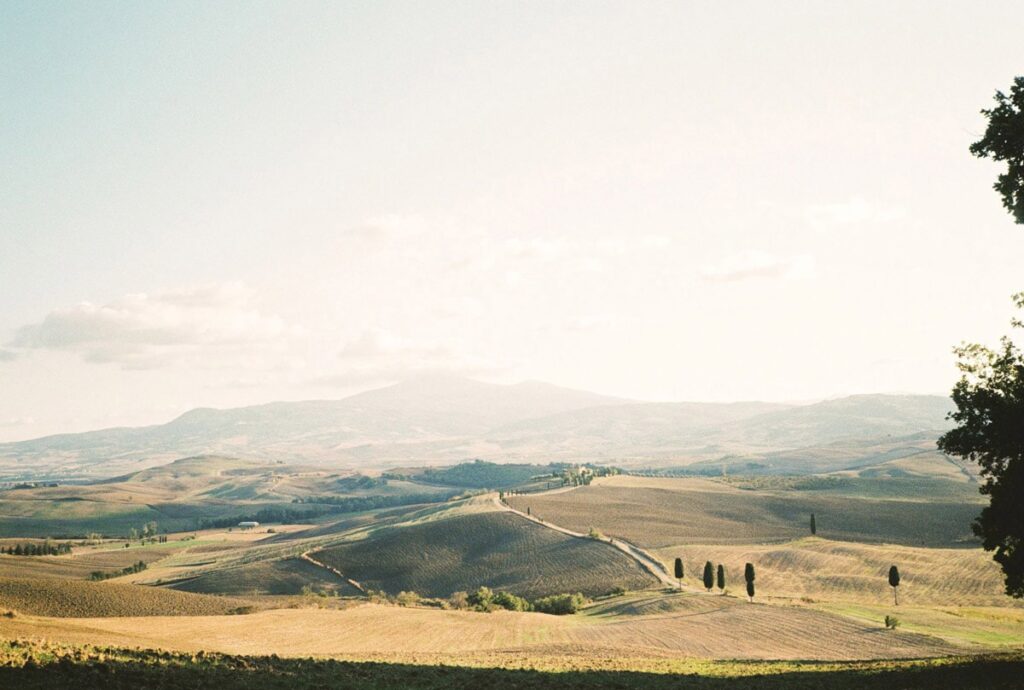 A quintessentially Tuscan landscape in Val D' Orcia with rolling hills 